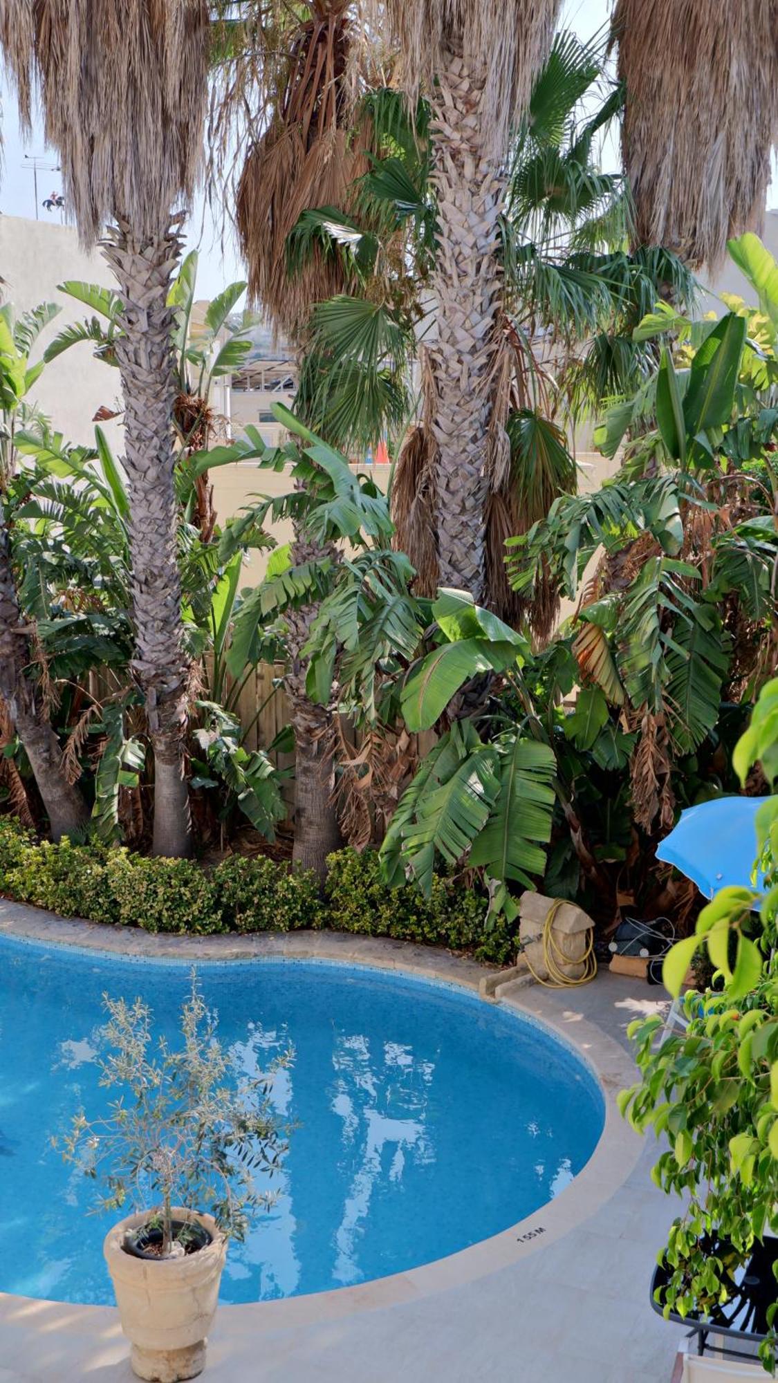 Village Knights Accommodation Żebbuġ Buitenkant foto